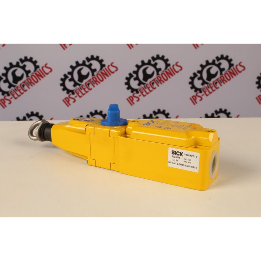 I110-RP313 (6025076)