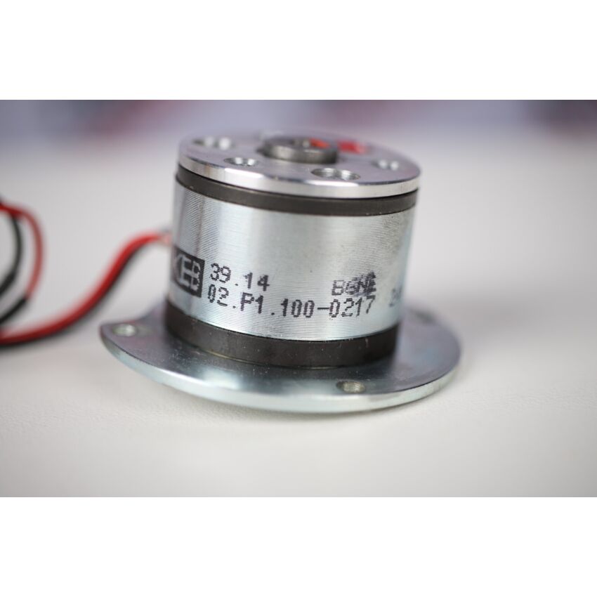 39.14 BGNE 02.P1.100-0217