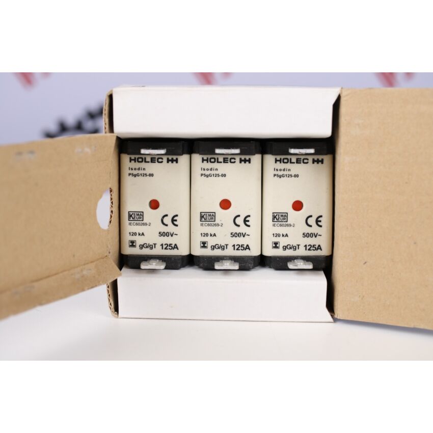 P5gG125-00 1328112 gG/gt 125A