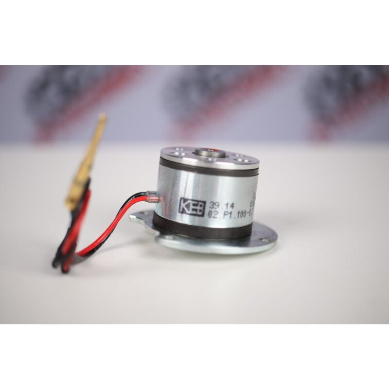 39.14 BGNE 02.P1.100-0217